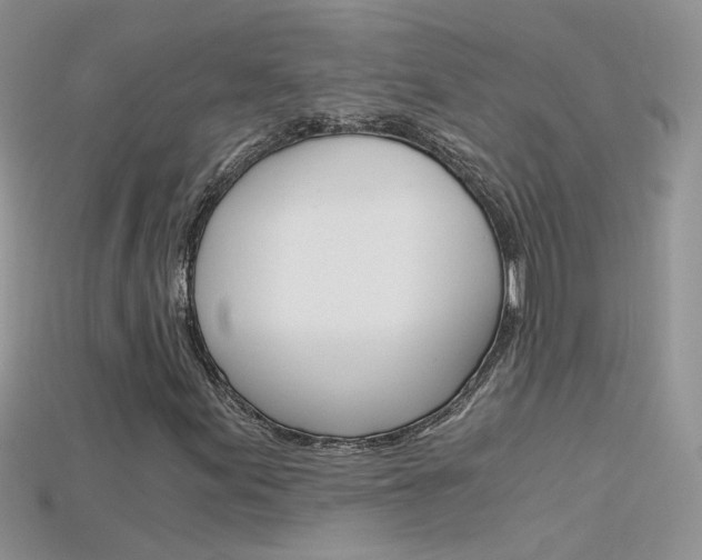 X0000115701155200911121358