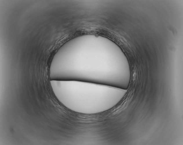 X0000115701156200911121358