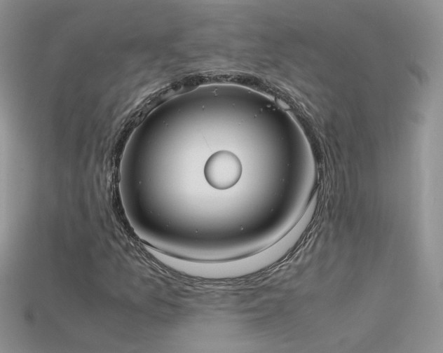 X0000115701157200911121358