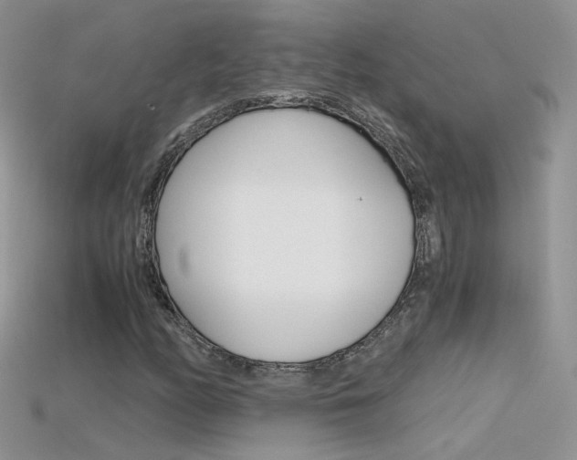 X0000115701158200911121358