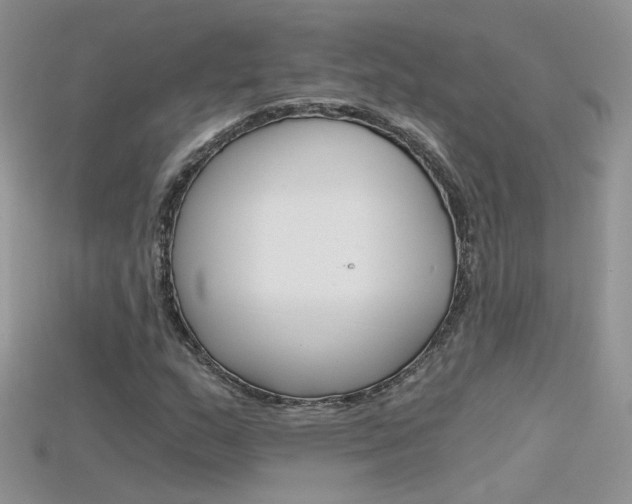 X0000115701159200911121358