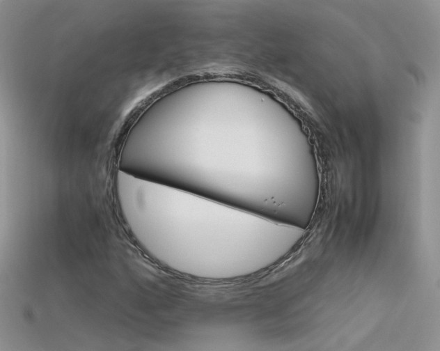 X0000115701160200911121358