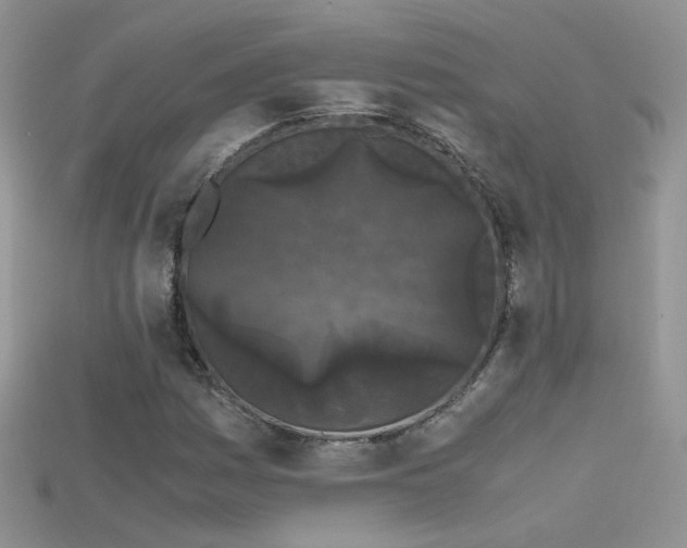 X0000115701161200911121358