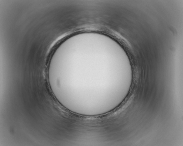 X0000115701166200911121358