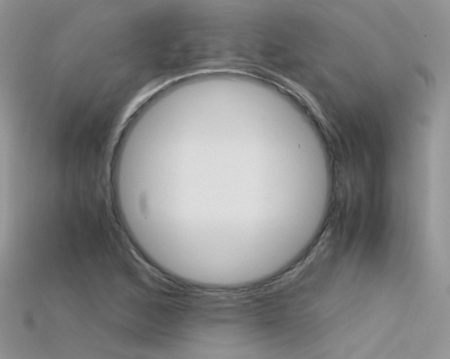 X0000115701168200911121358