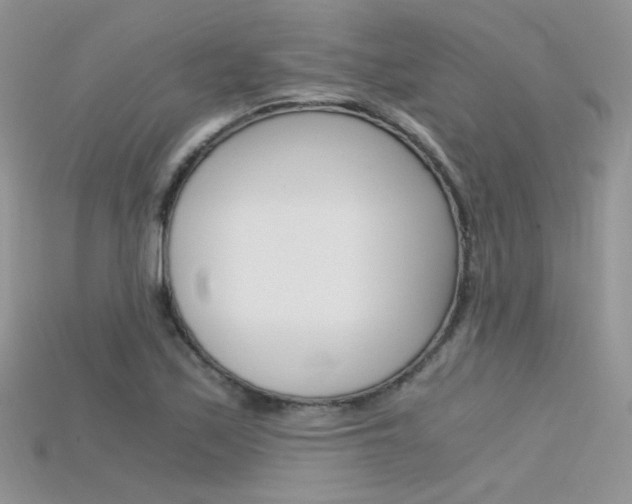 X0000115701171200911121358