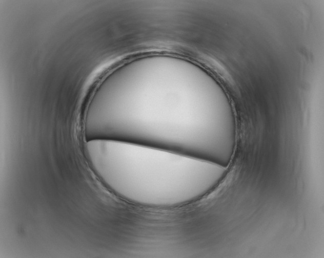 X0000115701172200911121358