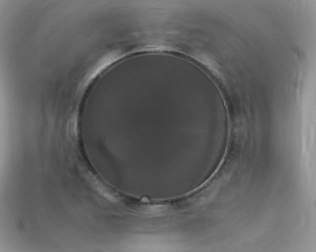 X0000115701173200911121358