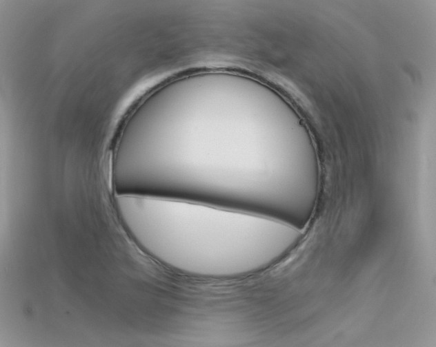 X0000115701175200911121358
