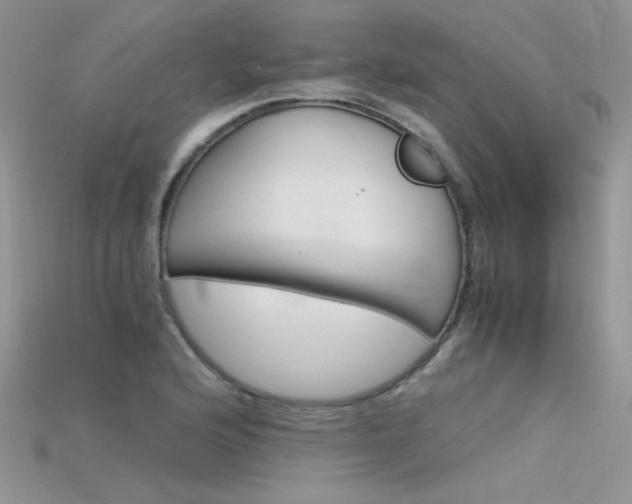 X0000115701176200911121358