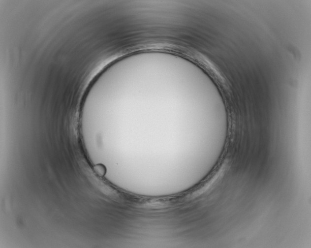 X0000115701178200911121358