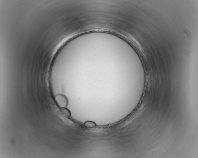 X0000115701182200911121358