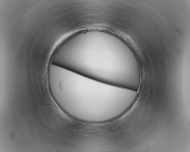 X0000115701184200911121358