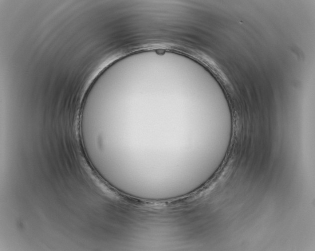 X0000115701186200911121358