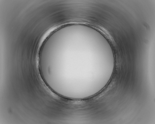 X0000115701188200911121358
