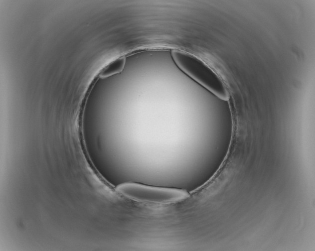 X0000115701189200911121358
