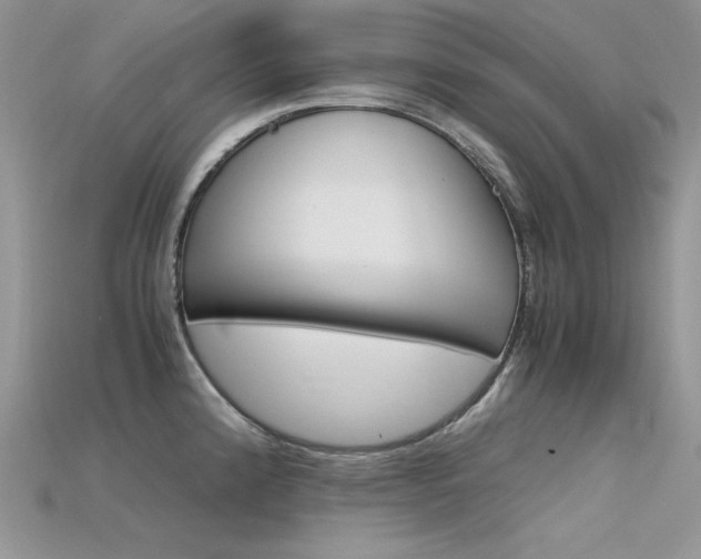 X0000115701192200911121358