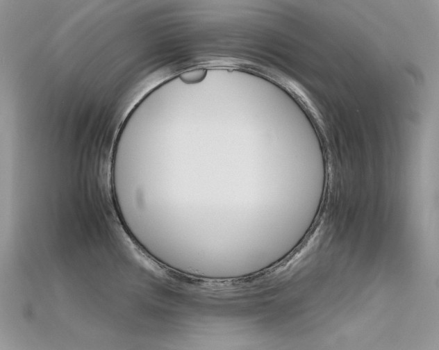X0000115701194200911121357