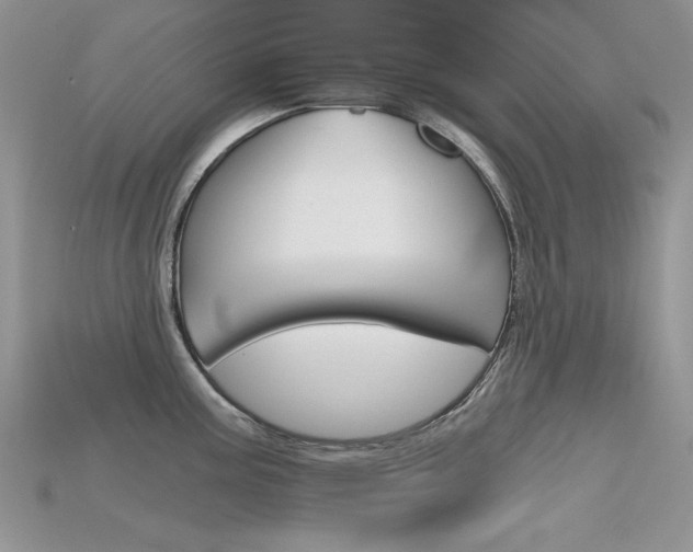 X0000115701195200911121357