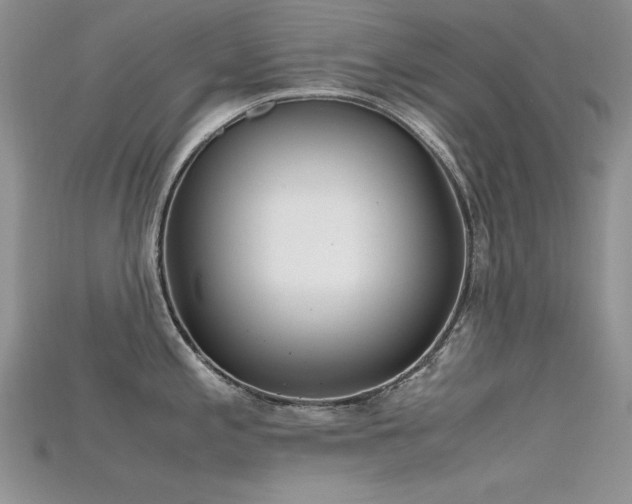 X0000115701197200911121357