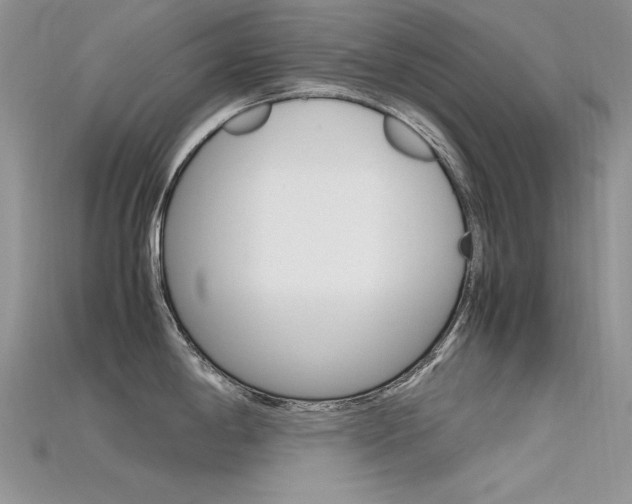 X0000115701198200911121357