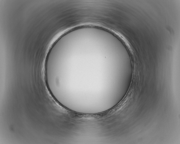 X0000115701199200911121357