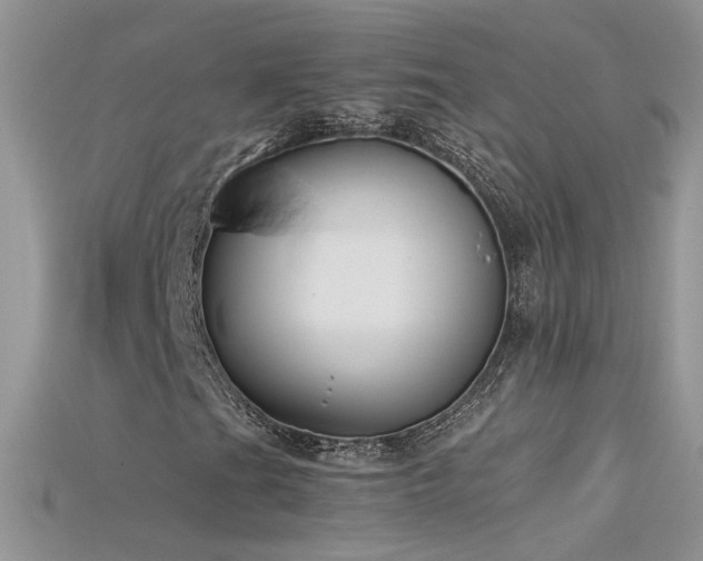 X0000115701201200911121357