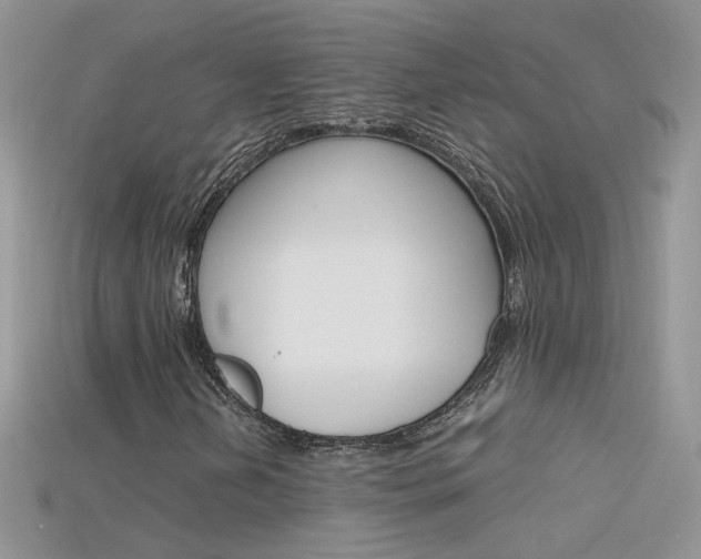 X0000115701202200911121357