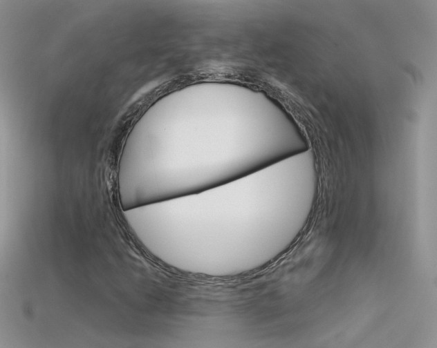 X0000115701206200911121357