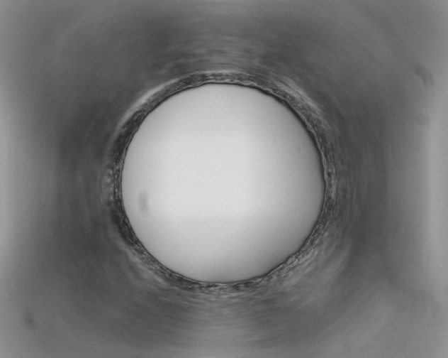 X0000115701208200911121357