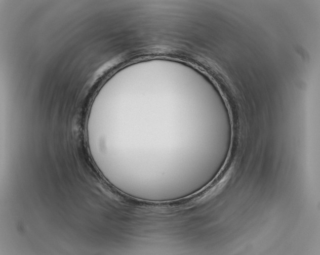 X0000115701210200911121357