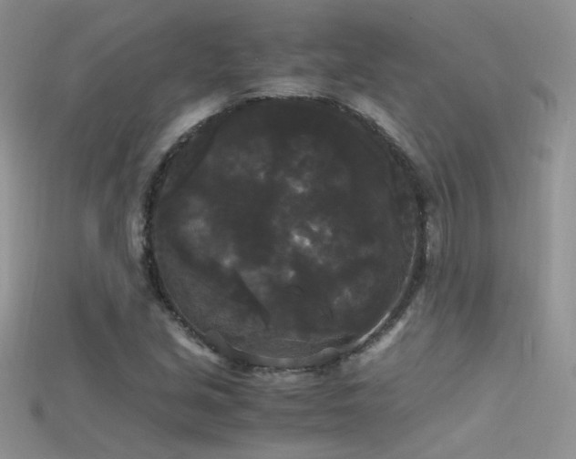 X0000115701213200911121357