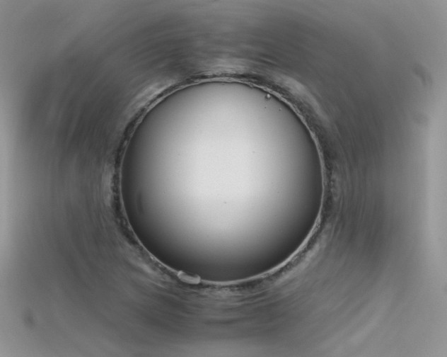 X0000115701217200911121357