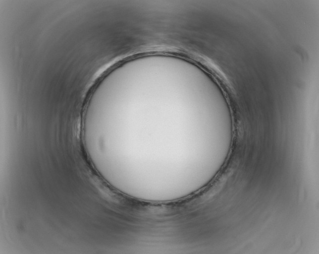 X0000115701220200911121357