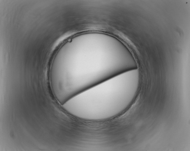 X0000115701222200911121357