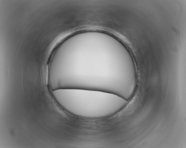 X0000115701223200911121357