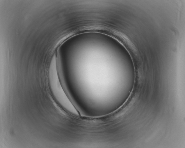X0000115701225200911121357