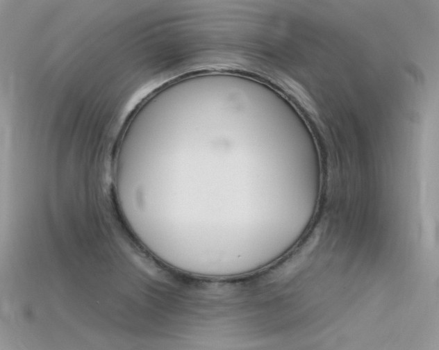 X0000115701226200911121357