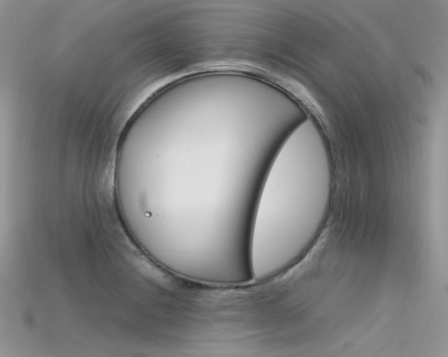 X0000115701228200911121357