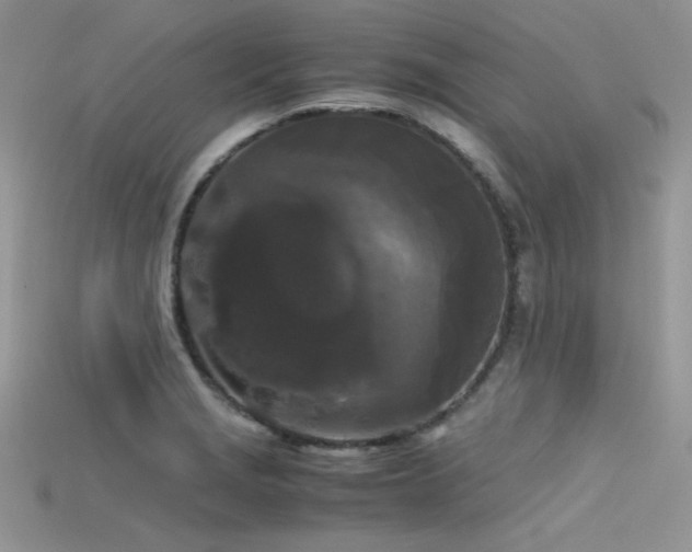 X0000115701229200911121357