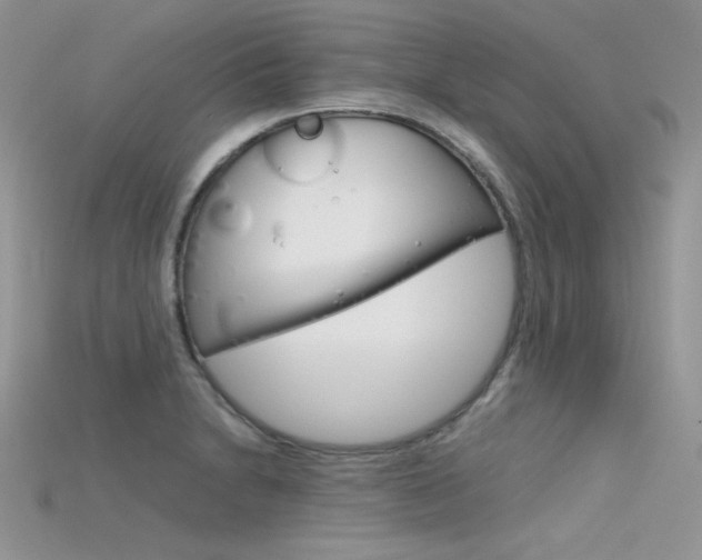 X0000115701230200911121357