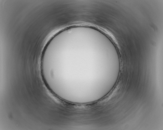 X0000115701231200911121357