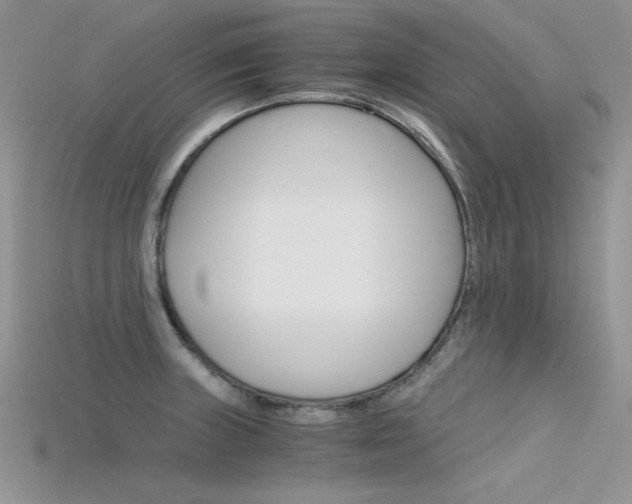 X0000115701235200911121357