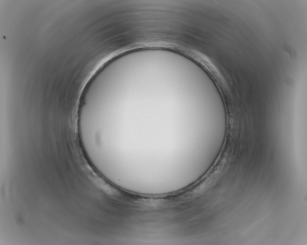 X0000115701236200911121357