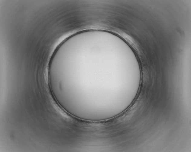 X0000115701238200911121357