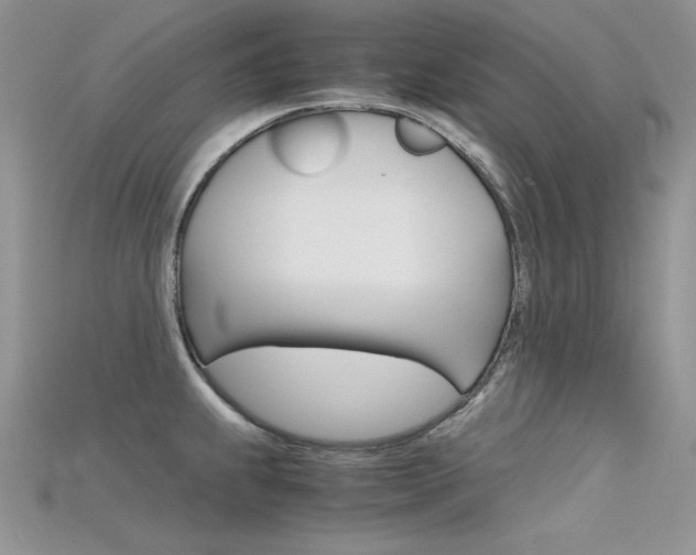 X0000115701239200911121357