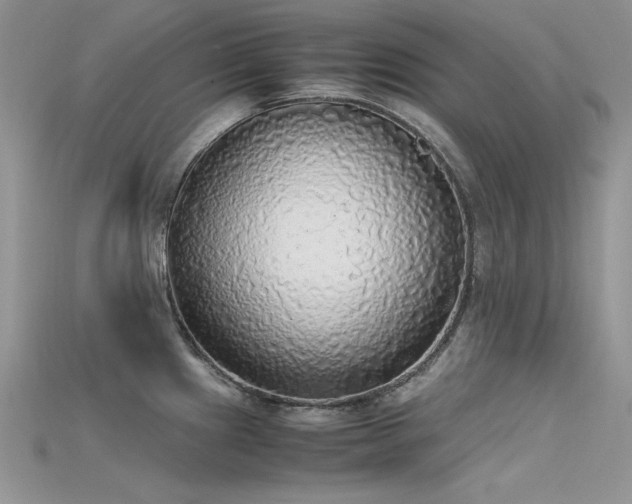 X0000115701241200911121357