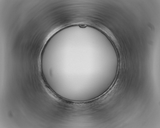 X0000115701242200911121357