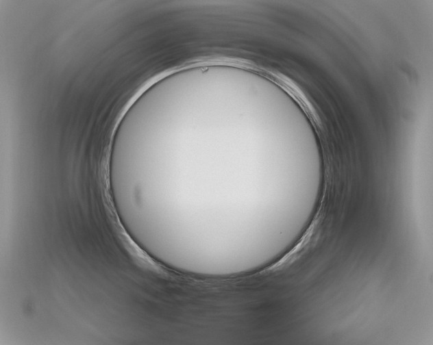 X0000115701244200911121357