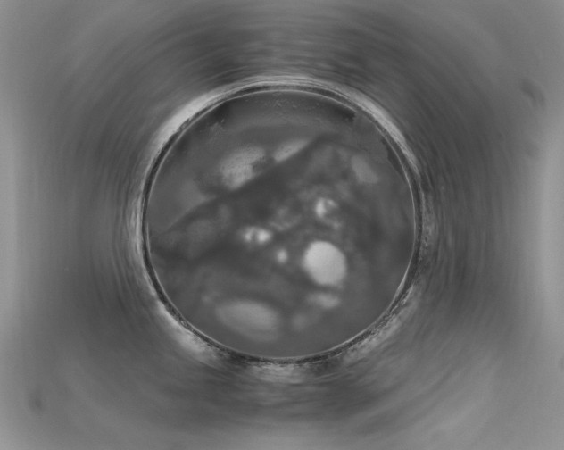 X0000115701245200911121357